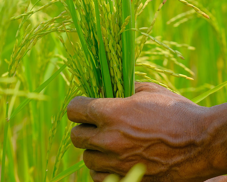 Who Can Be A Member?